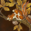 Auction by "Ader SVV" du 06/04/2023 - Écureuils roux branchés (lot n°185)